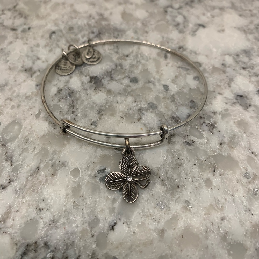 Alex and Ani Lucky Charm Charm Bangle
